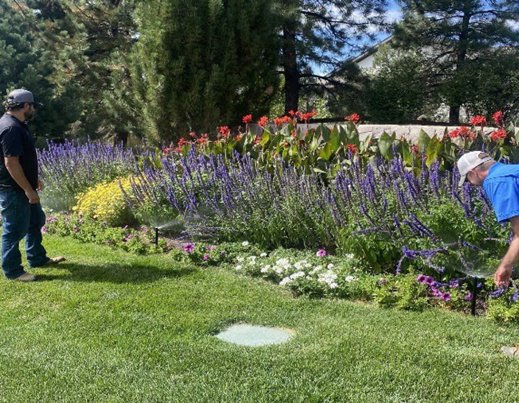 castle pines irrigation management case study