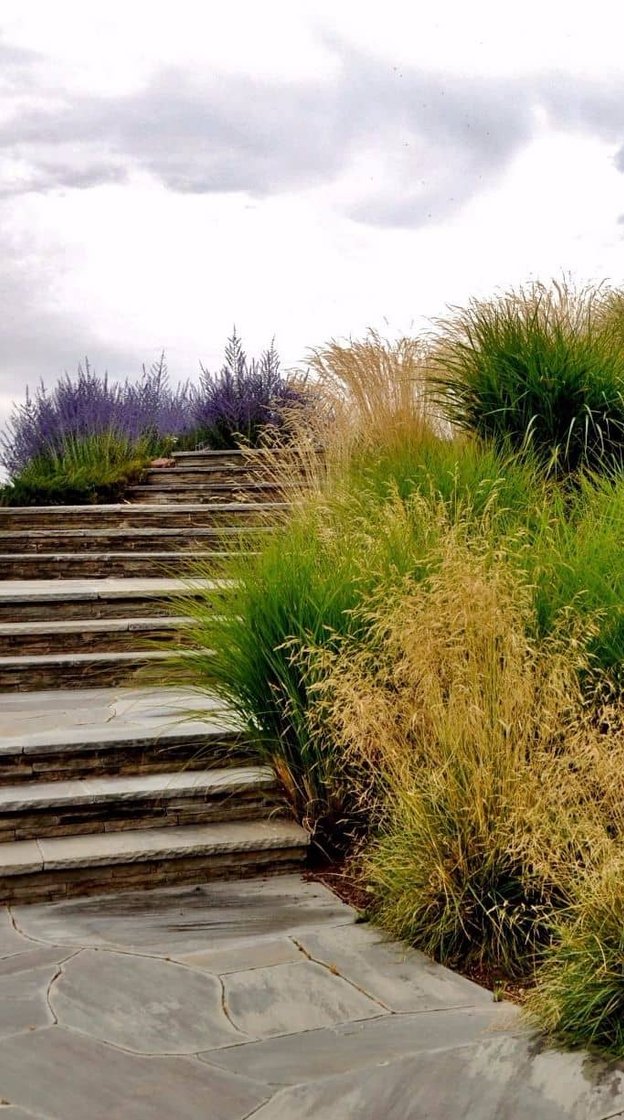 Residential sprinkler system installation for Denver CO home