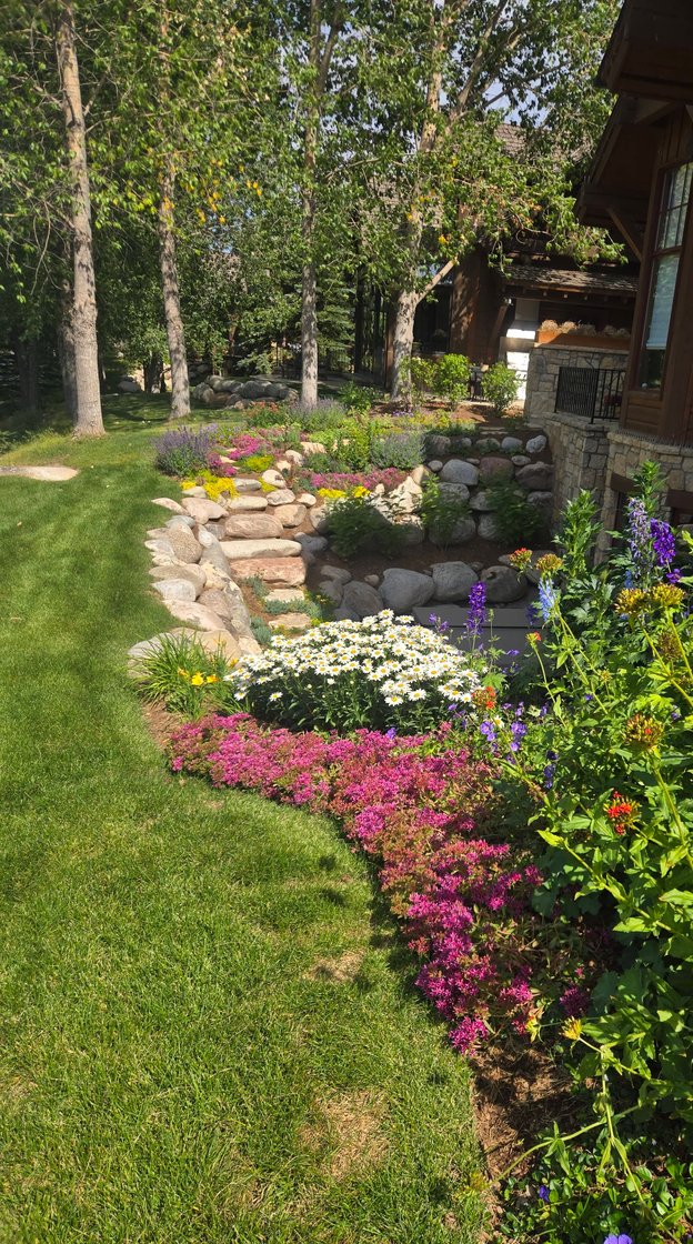 Backyard irrigation system maintaining healthy lawn in Denver Colorado